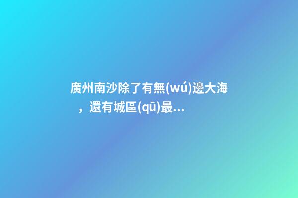 廣州南沙除了有無(wú)邊大海，還有城區(qū)最大免費(fèi)森林公園，名字拗口